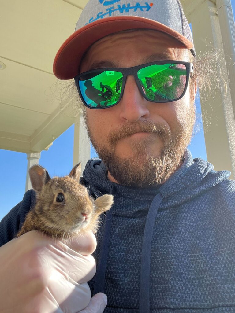 Wildlife Removal Griffith